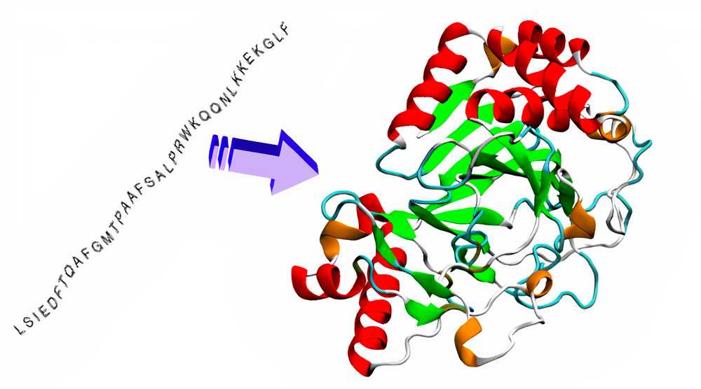 Image showing the protein folding problem